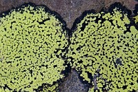 K20D4854 edited-1 : 3 Stars, RAW, Canada Rockies