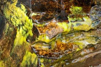 K20D4863 edited-1 : 4 Stars, RAW, Canada Rockies