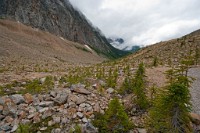 K20D4978 edited-1 : 3 Stars, RAW, Canada Rockies