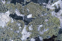 K20D5063 edited-1 : 3 Stars, RAW, Canada Rockies