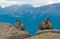 K20D5087 edited-1 : 4 Stars, RAW, Canada Rockies