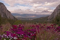 K20D5396 edited-1 : 3 Stars, RAW, Canada Rockies