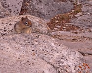 K20D5487 edited-1 : 3 Stars, RAW, Canada Rockies