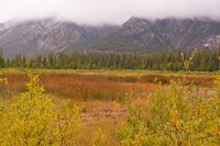 K20D5535 edited-1 : 3 Stars, RAW, Canada Rockies