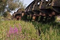 K20D1011 edited-1 : 3 Stars, RAW, Christchurch