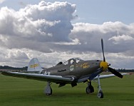 IGP3365 : 3 Stars, RAW