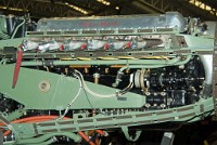 IGP3416 : 3 Stars, RAW