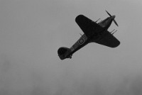 IGP3461 : 3 Stars, RAW