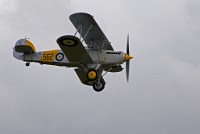 IGP3556 : 3 Stars, RAW