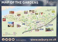 DSC1606 : 3 Stars, Exbury Gardens Spring 2021, RAW