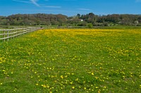 K20D6115 edited-1 : 3 Stars, In Focus, Low Contrast, High Quality, RAW, Fordingbridge