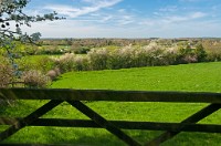 K20D6116 edited-1 : 3 Stars, In Focus, High Quality, RAW, Fordingbridge