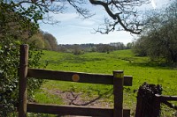 K20D6119 edited-1 : 3 Stars, In Focus, High Quality, RAW, Fordingbridge