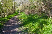 K20D6120 edited-1 : 3 Stars, In Focus, High Quality, RAW, Fordingbridge