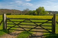 K20D6129 edited-1 : 3 Stars, In Focus, High Quality, RAW, Fordingbridge