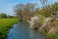 K20D6130 edited-1 : 3 Stars, In Focus, High Quality, RAW, Fordingbridge