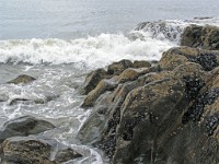 IMG 0572 edited-1 : Fowey, 3 Stars, Fowey Web, PXF - Seascapes - June02 2007