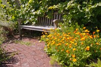 K20D3899 edited-1 : 3 Stars, RAW, George Whites House