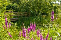 K20D3903 edited-1 : 3 Stars, RAW, George Whites House