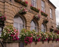 K20D1057 edited-1 : 3 Stars, RAW, Glastonbury, ACR-JPG