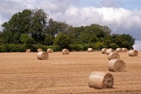 K20D1787 edited-1 : RAW