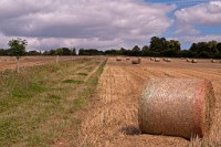 K20D1794 edited-1 : RAW