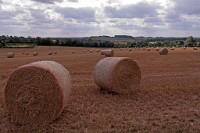 K20D1809 edited-1 : RAW