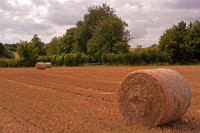 K20D1821 edited-1 : RAW