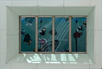 IGP1038 edited-1 : RAW