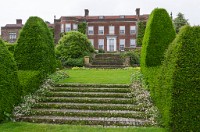 PK5 1786 : 3 Stars, High Quality, Hinton Ampner, In Focus, RAW