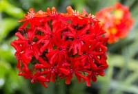 PK5 1790 : 4 Stars, High Quality, Hinton Ampner, In Focus, RAW