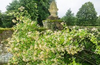 PK5 1806 : 3 Stars, High Quality, Hinton Ampner, In Focus, RAW