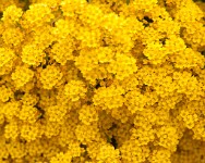 K20D0089 edited-1 : 3 Stars, RAW, Houghton Lodge