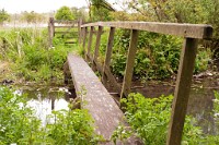 K20D0097 edited-1 : 3 Stars, RAW, Houghton Lodge