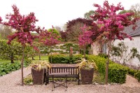 K20D0101 edited-1 : 3 Stars, RAW, Houghton Lodge