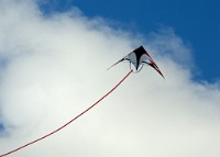 IGP1361 : 3 Stars, RAW