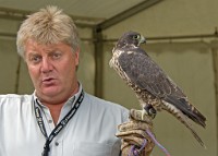 IGP1368 : 3 Stars, RAW