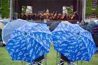 IGP1459 : 3 Stars, RAW