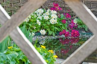 K20D3101 edited-1 : 3 Stars, RAW, Kew Gardens