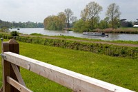 K20D3127 edited-1 : 3 Stars, RAW, Kew Gardens