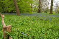 K20D3140 edited-1 : 3 Stars, RAW, Kew Gardens