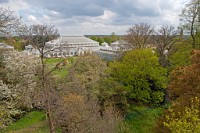 K20D3171 edited-1 : 3 Stars, RAW, Kew Gardens