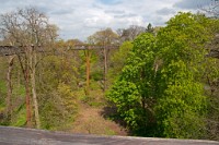 K20D3174 edited-1 : 3 Stars, RAW, Kew Gardens