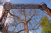 K20D3178 edited-1 : 3 Stars, RAW, Kew Gardens