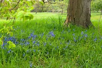 K20D3232 edited-1 : 3 Stars, RAW, Kew Gardens