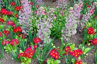 K20D3267 edited-1 : 3 Stars, RAW, Kew Gardens