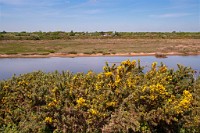 K20D3386 edited-1 : 3 Stars, RAW, Keyhaven