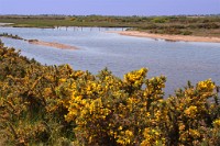 K20D3389 edited-1 : 3 Stars, RAW, Keyhaven