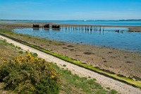 K20D3396 edited-1 : 2 Stars, RAW, julie to print