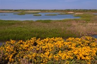 K20D3398 edited-1 : 3 Stars, RAW, Keyhaven